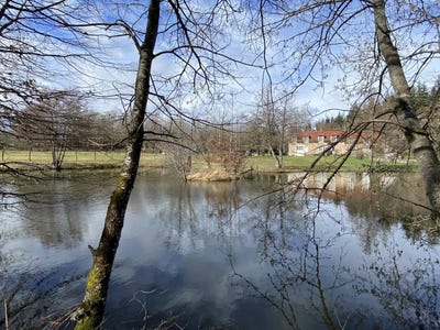 /international/fr/saint-didier-burgundy-310103819243/