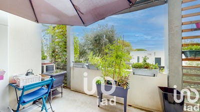 /international/fr/auzeville-tolosane-midi-pyrenees-310102370541/