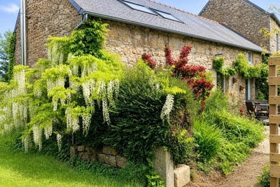 /international/fr/lanrodec-brittany-310108292872/