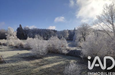/international/fr/brousse-ardennes-310104916068/