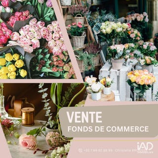 /international/fr/faverges-rhone-310104113458/
