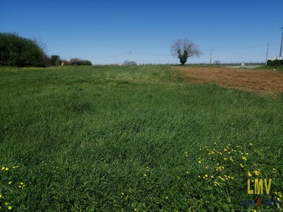 /international/fr/rauzan-aquitaine-310102704760/