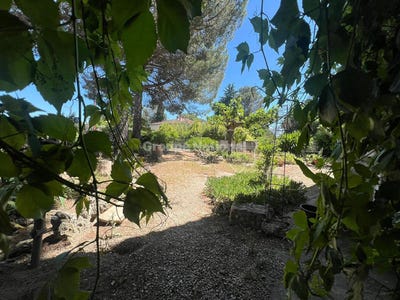 /international/fr/montfrin-languedoc-roussillon-310101207633/?lang=zh-cn