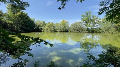 /international/fr/javron-les-chapelles-pays-de-la-loire-310105820875/