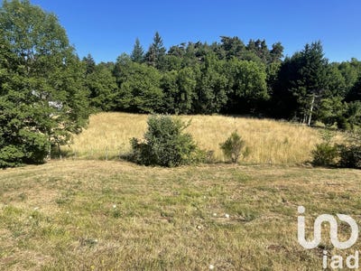 /international/fr/murol-auvergne-310101156629/