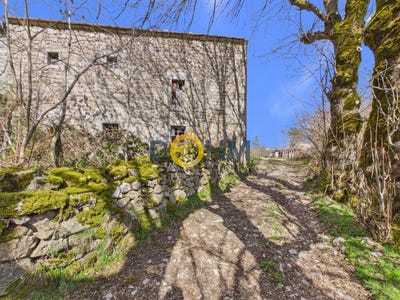 /international/fr/venteuges-auvergne-310106943199/