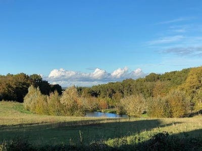 /international/fr/saint-hilaire-saint-florent-pays-de-la-loire-310108731221/