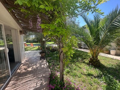 /international/fr/cournonterral-languedoc-roussillon-310107759335/