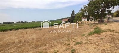 /international/fr/coteaux-sur-loire-centre-val-de-loire-310109459859/