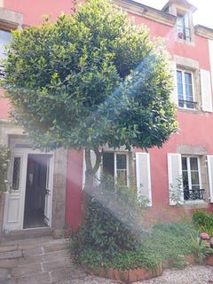 /international/fr/audierne-brittany-120094753423/