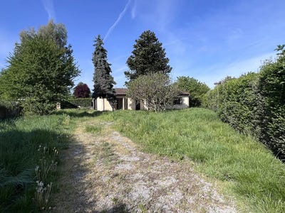 /international/fr/martres-de-riviere-midi-pyrenees-310107474614/