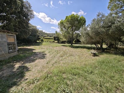/international/fr/le-pouget-midi-pyrenees-310102184974/