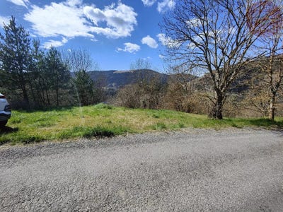 /international/fr/meyrueis-languedoc-roussillon-310108315103/