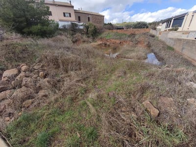 /international/fr/cebazan-languedoc-roussillon-310119775410/