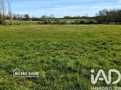 /international/fr/cire-d-aunis-charente-310105247260/