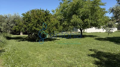 /international/fr/uzes-languedoc-roussillon-310110348089/