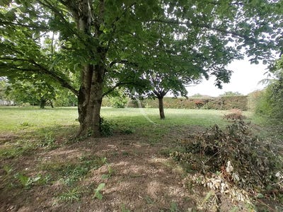 /international/fr/gaillac-midi-pyrenees-310104466929/
