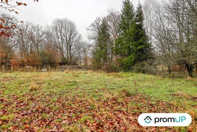 /international/fr/peyrilhac-limousin-310103175745/