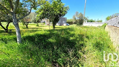 /international/fr/saint-alexandre-languedoc-roussillon-310100489379/