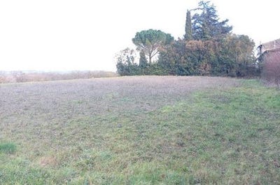 /international/fr/montbrun-lauragais-midi-pyrenees-310106778756/