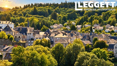 /international/fr/treignac-limousin-310110204245/