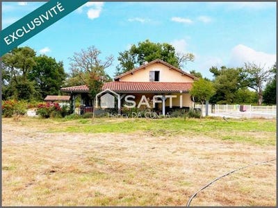/international/fr/pissos-aquitaine-310101445858/