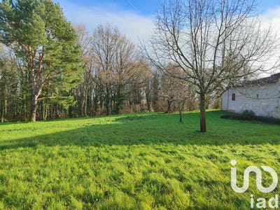 /international/fr/confolens-charente-310096508548/