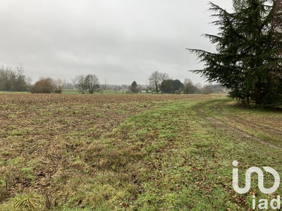 /international/fr/mulsanne-pays-de-la-loire-310106710023/