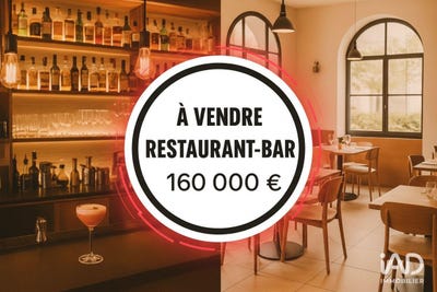 /international/fr/carcassonne-languedoc-roussillon-310102245999/