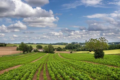 /international/fr/beauville-aquitaine-310101176246/?lang=zh-cn
