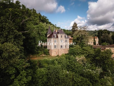 /international/fr/montmelas-saint-sorlin-rhone-310108407424/