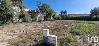 /international/fr/baho-languedoc-roussillon-310103083326/