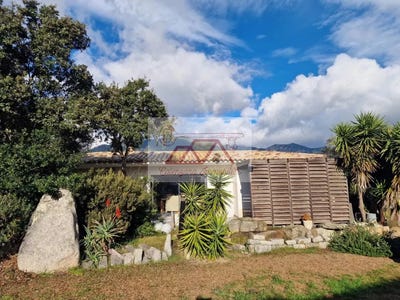 /international/fr/sotta-corsica-310098874313/?lang=zh-tw