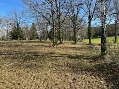 /international/fr/saint-sulpice-le-dunois-limousin-310103489929/