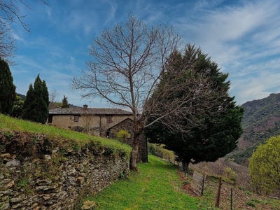 /international/fr/saint-etienne-vallee-francaise-languedoc-roussillon-120094915149/
