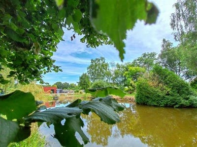 /international/fr/bauge-en-anjou-pays-de-la-loire-310102784167/
