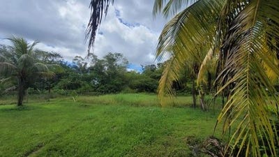 /international/fr/st-laurent-du-maroni-pays-de-la-loire-310101377948/