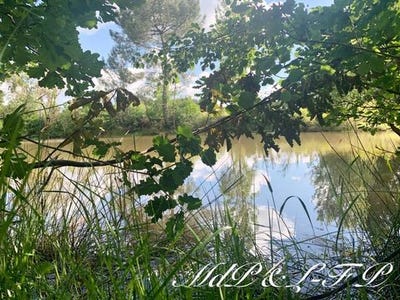 /international/fr/margueron-aquitaine-120096367047/?lang=en