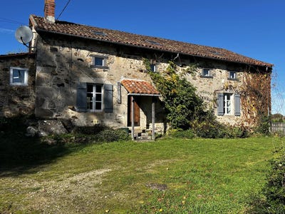 /international/fr/blond-limousin-310104570894/