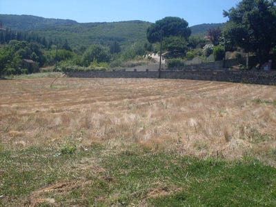 /international/fr/le-bousquet-d-orb-languedoc-roussillon-310104463534/