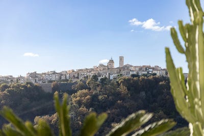 /international/fr/st-paul-hh-16020582-saint-paul-upper-normandy-310104593889/