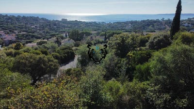 /international/fr/les-issambres-provence-alpes-cote-d-azur-310108523882/