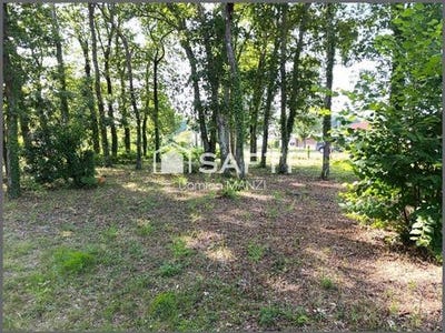 /international/fr/le-teich-aquitaine-310100498951/