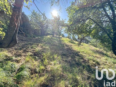 /international/fr/venanson-provence-alpes-cote-d-azur-310100537189/