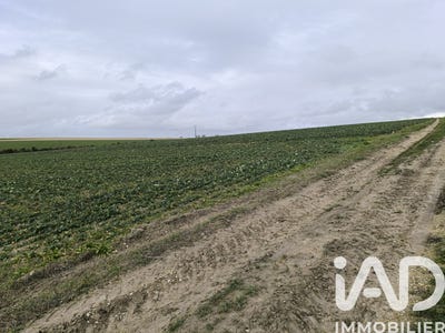 /international/fr/ablancourt-ardennes-310106513167/