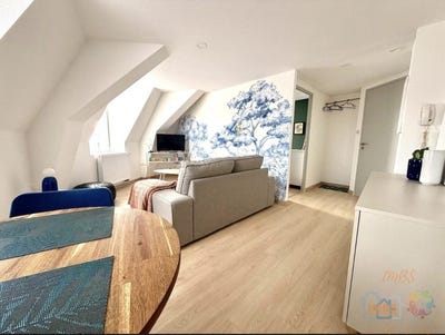 /international/fr/mulhouse-alsace-310108728494/