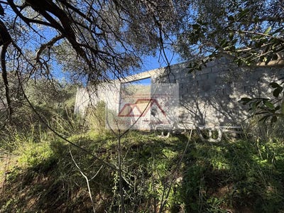 /international/fr/calenzana-corsica-310106238205/