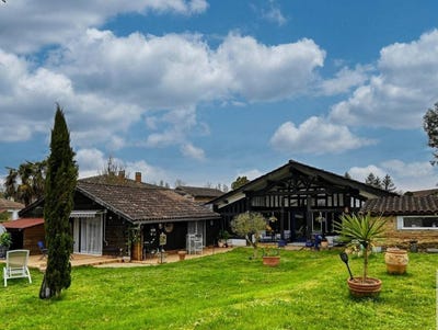 /international/fr/miramont-de-guyenne-aquitaine-310106289365/