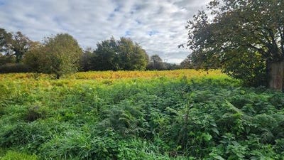 /international/fr/pontchateau-pays-de-la-loire-310110314878/