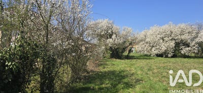 /international/fr/sainte-euphemie-rhone-310106460704/
